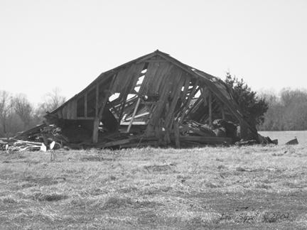 barn1.jpg